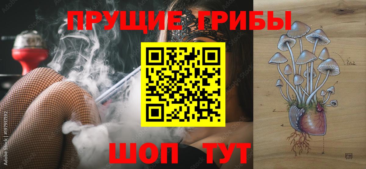 Курган  Псилоцибиновые грибы Cubensis  Вход с VPN 
