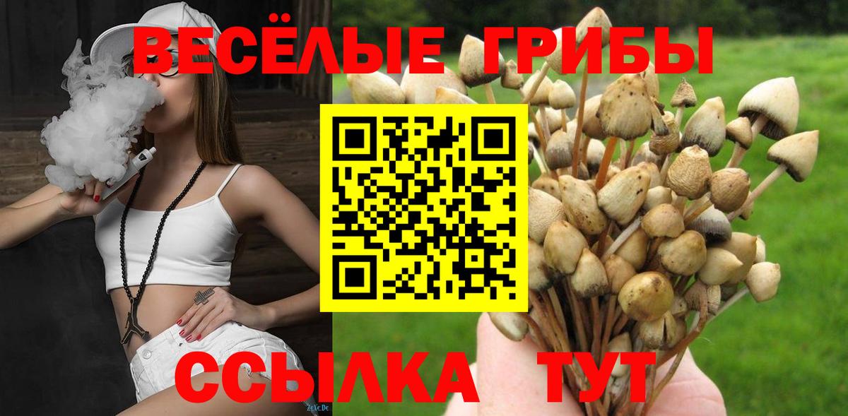 Галлюциногенные грибы прущие грибы Курган